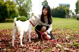 小说：入赘三年，上门女婿受尽屈辱，好心请岳母吃饭，却遭到羞辱图片