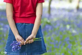 小说：妹妹要去上幼儿园，五岁萌宝：先别急，哥哥帮你挑一条裙子图片