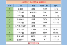 比亚迪入局小型车，7.38万海鸥推出，竟比仰望重要？图片