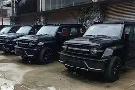 坦克300赛博骑士版实车曝光，新车或近期交付图片