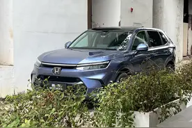 7座栽树，5座乘凉？全新皓影评测图片