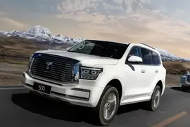 如何舍弃3.0TV6？坦克500燃油版和混动版怎么选？图片