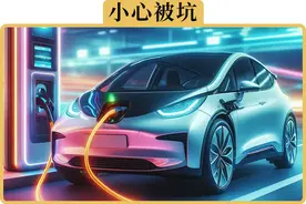 为什么有人说电动车的终身质保就是个坑图片