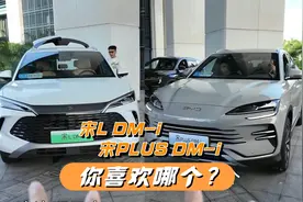 一样的配置一样的价格，宋L DM-i宋PLUS DM-i你喜欢哪个？视频封面