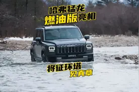 哈弗猛龙燃油版亮相视频封面