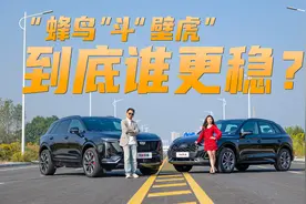 “蜂鸟”斗“壁虎”！凯迪拉克全新XT5对战奥迪Q5L，谁更稳？