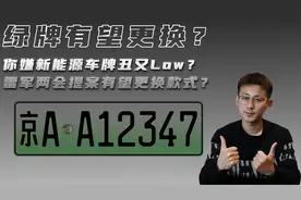 你嫌新能源车牌丑又Low？雷军两会提案有望更换款式？视频封面