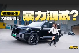 实测方程豹豹8的暴力模式，这样测越野能力谁顶得住？