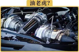 为了省油买了1.5T，结果开出了10个油，怎么回事图片