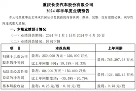 长安净利暴跌67.33%，深蓝S07价值2万的高速智驾，偷师华为图溢价图片