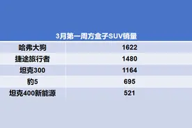 3月第一周方盒子SUV销量出炉！哈弗大狗是销冠，豹5不敌坦克300图片