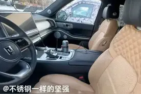 坦克700内饰曝光！外观真的“丑”吗？原因出在轮胎和配色上！图片