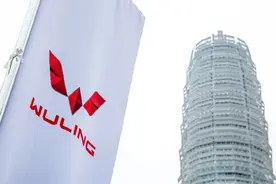 五菱汽车：好好卖"老头乐"吧！别总想着冲击高端图片
