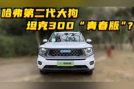 哈弗第二代大狗：坦克300“青春版”？图片