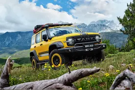 关于坦克300边境限定版的一切都在这儿了，28万到底值不值？图片