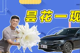 大众辉昂，把自己玩没了视频封面