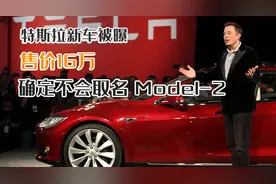 特斯拉新车被曝售价16万，确定不会取名Model-2图片