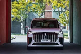 首曝自燃，岚图“危机”重重图片