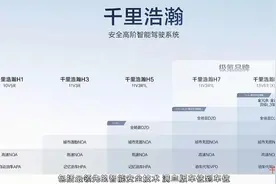 比亚迪你看看，最大的敌军出现了图片