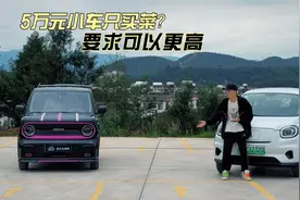 微型车大战：熊猫mini与零跑T03，谁是城市出行好选择？