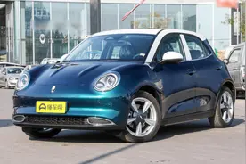 正确的撸猫方式:欧拉好猫阿波罗版图片