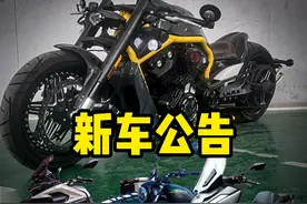 真丢人！假名牌妖风大，3月新车盘点图片