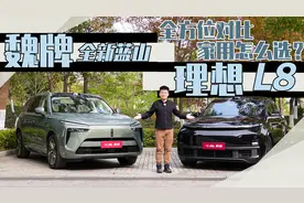 理想L8对比全新蓝山，谁才是30万级最强6座SUV视频封面