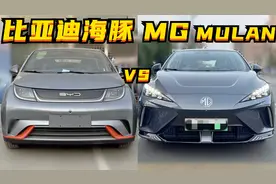 探店丨比亚迪海豚，真的有那么好吗？图片