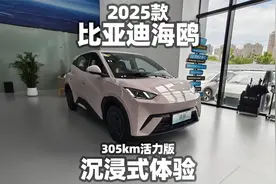 【大熊沉浸式试车】2025款比亚迪海鸥305km活力版~沉浸式体验
