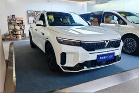 智能黑科技加持，新岚图FREE与新问界M7，谁更“聪明”？图片