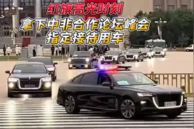 红旗高光时刻 拿下中非合作论坛峰会指定接待用车