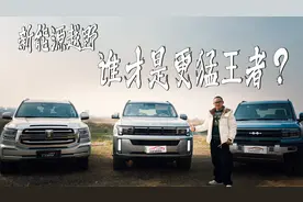 新能源越野BJ60雷霆/坦克500 Hi4-T/豹5，谁才是更猛王者？