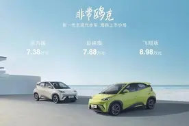 7.38万元起，配置丰富，颜值能打，比亚迪海鸥正式上市图片