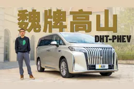 真家用豪华MPV 首试魏牌高山视频封面