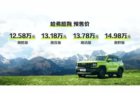 长城的哈弗酷狗，注定和音乐脱不了干系图片