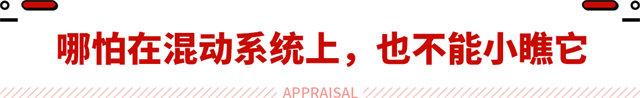 用电车征服无人区！奥迪又来搞事情了 不得不说那是真牛？