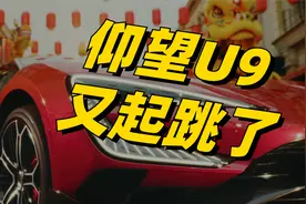 仰望U9又起跳了，方程豹致敬“真正的迪粉”