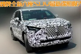到时候“豪华”了！魏牌六座SUV最新谍照，尺寸内饰都够旗舰水准图片