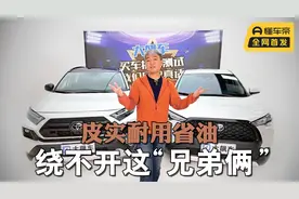 皮实耐用还省油，选家用SUV绕不开这“兄弟俩”