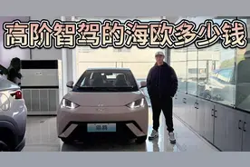 天神之眼C下放，带高阶智驾的比亚迪海鸥究竟卖多少钱？