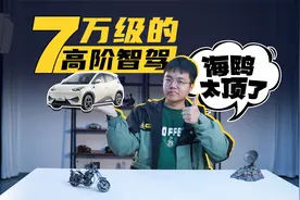 7万级首搭高阶智驾？比亚迪海鸥智驾版来了！