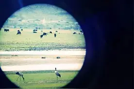 Jeep不再国产，是傲慢还是水土不服？图片