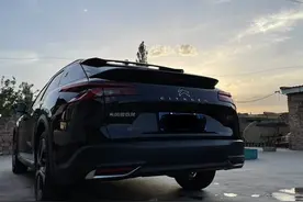 说一说凡尔赛的优点和希望改进的几点图片