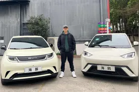 顶配海鸥和丐版海豚差1万，两台小比亚迪该选谁？