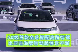 A0级首选全系高阶智驾，海豚智驾版惊喜不断