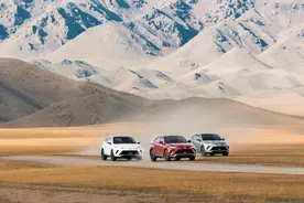 怦然心动 在最好的时间和地点遇见威飒图片