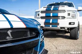 9万美元起 谢尔比F-150超级蛇版发布图片