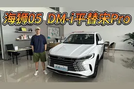 更清新但确为换皮车，海狮05 DM-i能平替宋Pro吗？