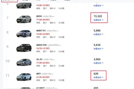 为什么唐DMI卖得那么好，纯电版的唐EV却惨不忍睹？图片