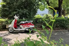 踏板并不是归宿，它就是必备！（附：选车+基础保养+组队骑行）图片